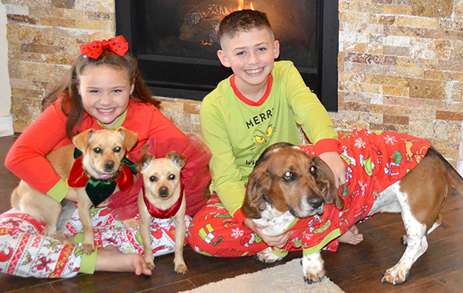All the Kids