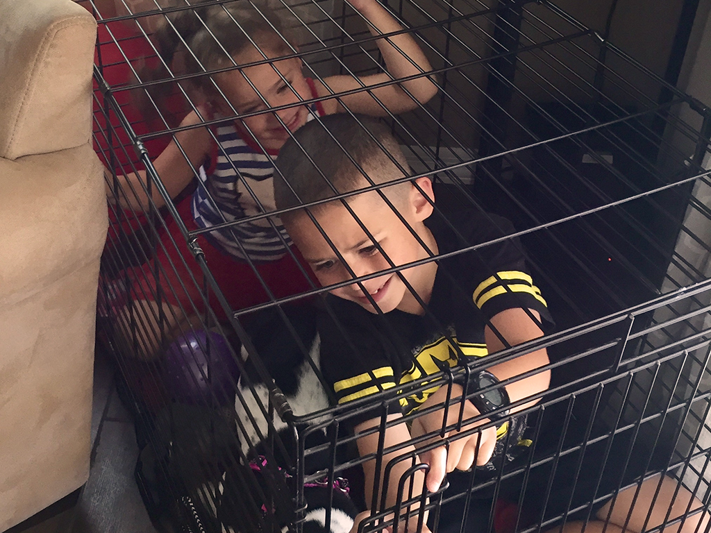 Babysitter
