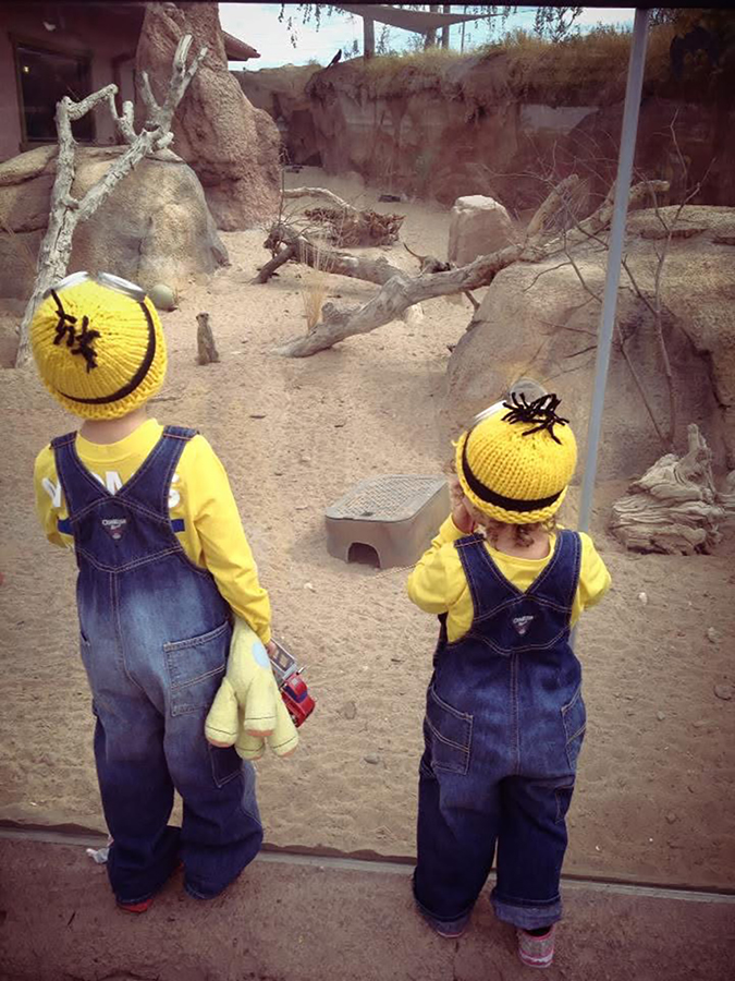Meerkats. © Shelly Arroyo